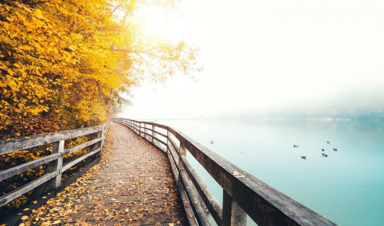 河南文旅产业签约95个项目，落地总金额577亿元