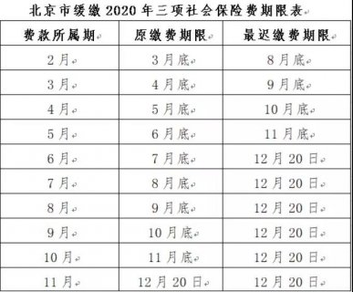 关于阶段性减免三项社会保险费和办理缓缴有关事项的通知