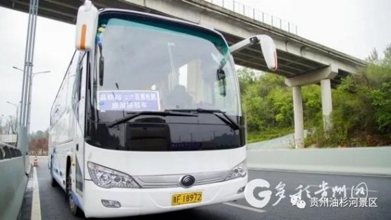 百里杜鹃和油杉河景区旅游接驳车正式开通