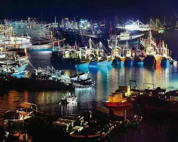 有趣的海岛 | 时光沉淀下的海陵岛28年，造就一座腾飞的岛屿(图12)