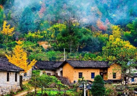 露营 | 乡村帐篷营地 让乡村旅游充满新活力