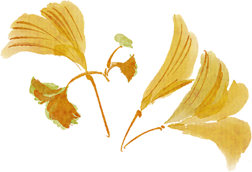 金华市政协副主席祝伦根一行莅临露营之家全球供应链贸易中心考察调研(图6) 6.png