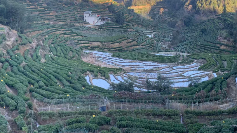 张明治率团队调研遂川,开展左安镇筑峰顶露营基地项目及遂川全域旅游运营策划工作(图10) 张明治率团队调研遂川,开展左安镇筑峰顶露营基地项目及遂川全域旅游运营策划工作(图10)