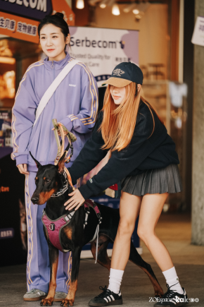 跨界新场景，消费新体验 | “撒欢集”人宠露营活动在深圳成功举办，奏响“三新生活”序章(图16)