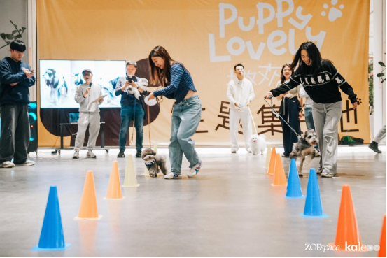 跨界新场景，消费新体验 | “撒欢集”人宠露营活动在深圳成功举办，奏响“三新生活”序章(图23)