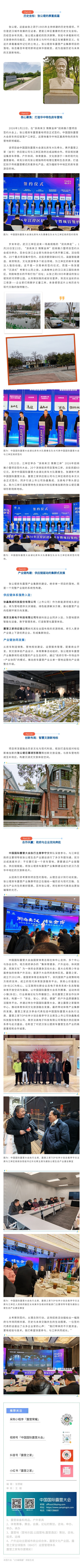 武汉张公堤房车露营供应链集群化打造江岸文旅“新地标”