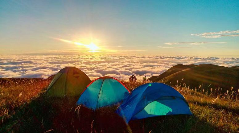 用“大露营”新生态观构建和美乡村共富之路（二）(图8)
