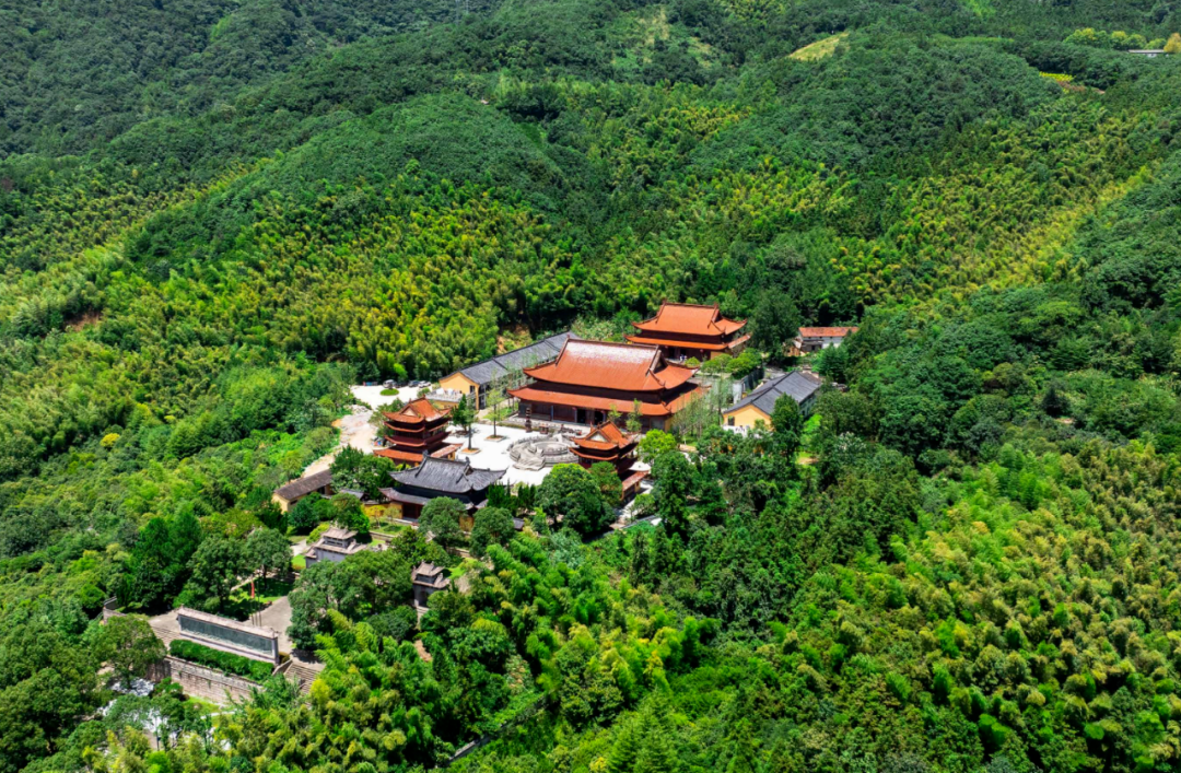 “逐梦金华”女子越野赛在金华山浪漫开跑(图10) 8.png