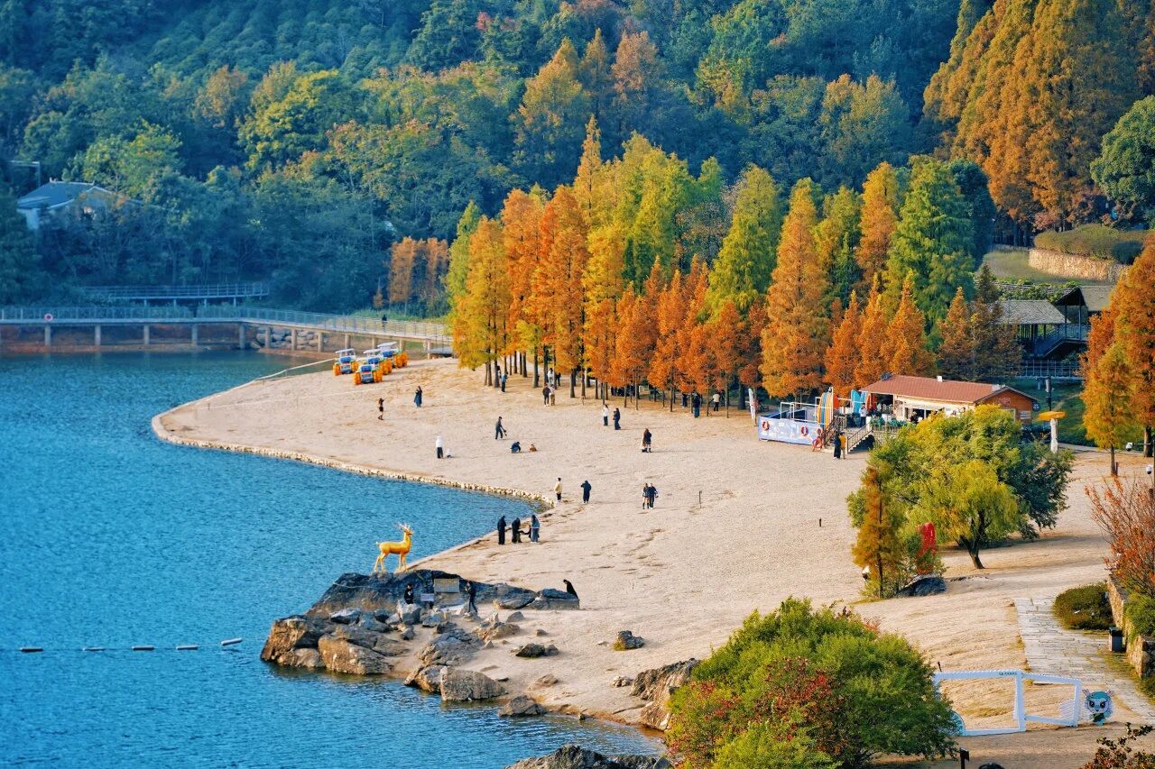 张雪机车夺冠销量猛增这才是赛事经济该有的样子——中国制造从单点突破到全域协同(图3)