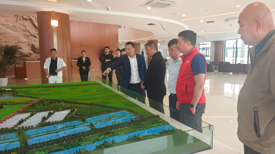 李守文受邀率队深入江西鹰潭考察调研文体旅产业生态：以“三链合一”破解“两长两短”(图6)