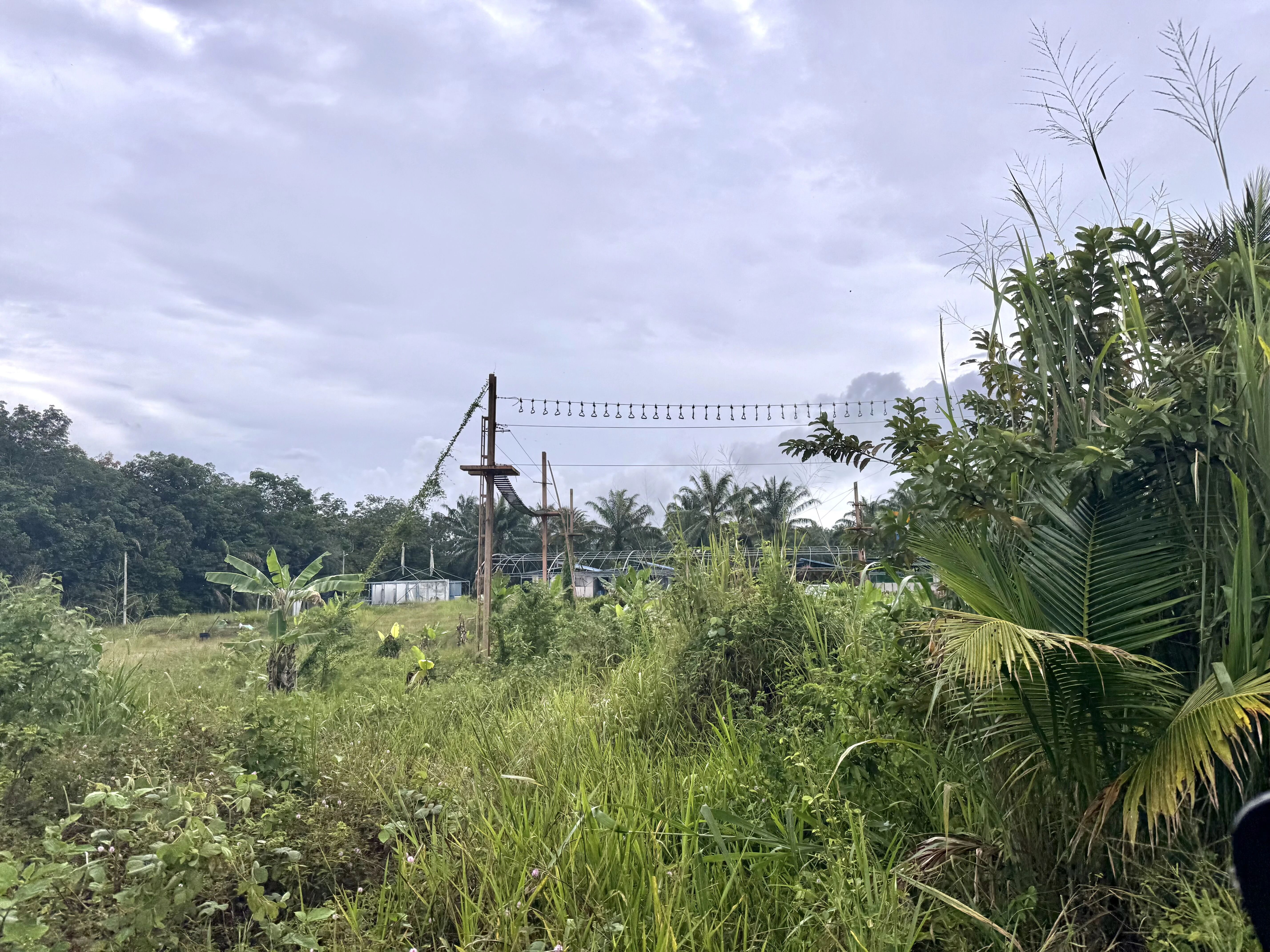【中马国际交流】深耕马来西亚多元业态 探访维多利亚生态园、Fajar Eco Park、Benton